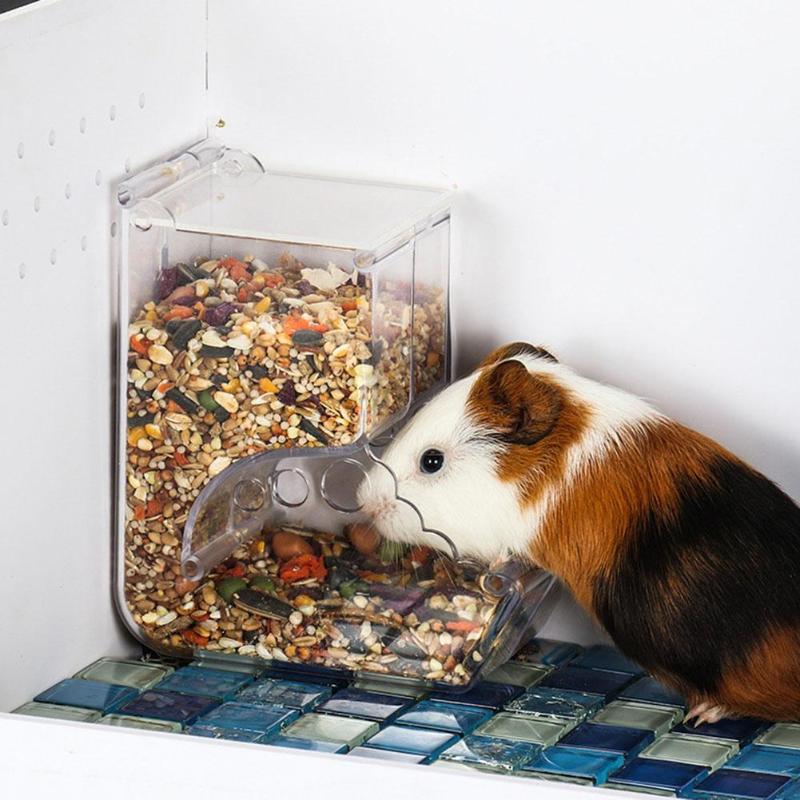 The Ultimate Hamster Feeder Food Box: A Must-Have for Every Hamster Owner